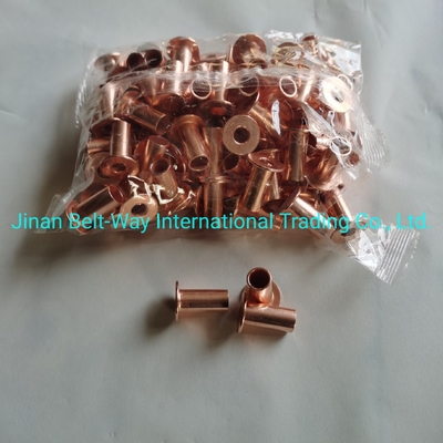 Sinotruk HOWO Truck Parts Brake Lining Rivet Wg9231340068 Standar dan awet 10*22mm
