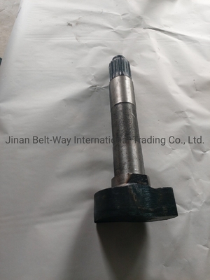 Sinotruk HOWO truk suku cadang Brake Camshaft Wg9100440002 Wg9100440001 untuk Gearbox
