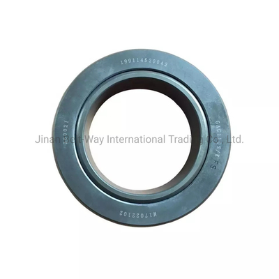 Original Shacman Sinotruk Heavy Truck Bagian Baterai Balance Shaft Bearing 199114520042