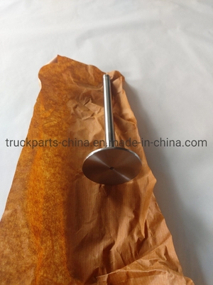 Sinotruk HOWO Truck Engine Parts Vg1560051001 Inlet Valve untuk Pasar Asia Selatan Gearbox