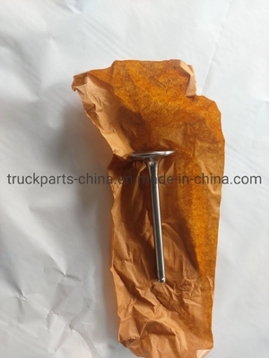 Sinotruk HOWO Truck Engine Parts Vg1560051001 Inlet Valve untuk Pasar Asia Selatan Gearbox