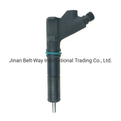 Injektor bahan bakar khusus untuk bagian mesin VG1246080036 OEM Vg1246080036 JaminanT1 Tahun