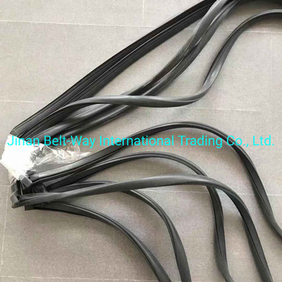 Sinotruk HOWO Truck L Glass Sealing Wg1642350001 Wg1642350002s untuk Sistem Transmisi
