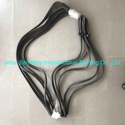 Sinotruk HOWO Truck L Glass Sealing Wg1642350001 Wg1642350002s untuk Sistem Transmisi