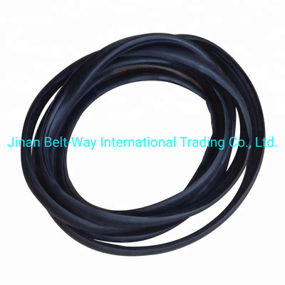 Sinotruk HOWO Truck Parts Windshield Sealing Rubber Wg1642710002 Standar Kompetitif