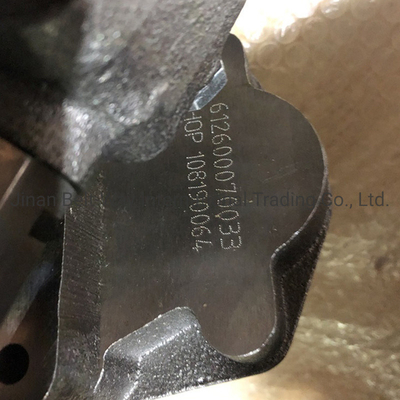 Sinotruk HOWO Deutz Traktor Pompa Minyak Az1500070021A Dilindungi oleh Made-in.com Pengembalian