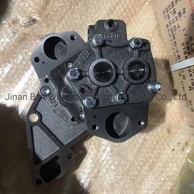 Sinotruk HOWO Deutz Traktor Pompa Minyak Az1500070021A Dilindungi oleh Made-in.com Pengembalian