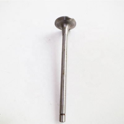 Sinotruk HOWO Spare Parts Wd615 Mesin Air Exhaust Inlet Valve 612600050073