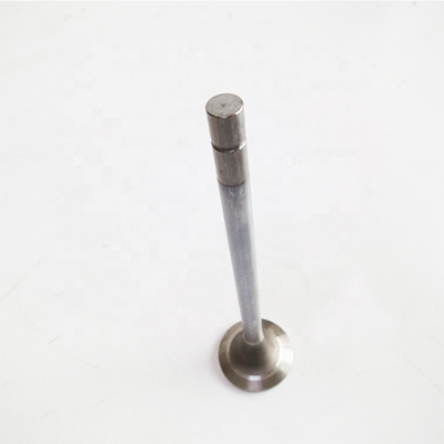 Pembayaran Aman Lindungi Pembelian Anda dengan Weicai Heavy Truck Exhaust dan Inlet Valve