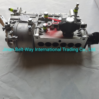 Sinotruk HOWO Truck Parts Fuel Injection Pump Vg1560080021 dengan Dukungan Pembayaran USD