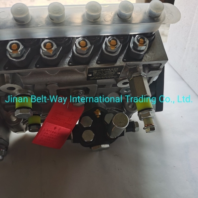 Sinotruk HOWO Truck Parts Fuel Injection Pump Vg1560080021 dengan Dukungan Pembayaran USD