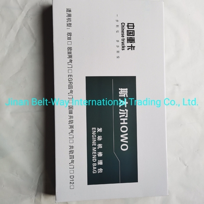 Pembayaran aman Lindungi pembelian Anda dengan Sinotruk HOWO Truck Parts Engine Repair Kits