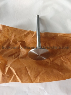 Bagian Sistem Listrik Sinotruk HOWO Mesin Truk katup keluaran knalpot Vg1560050041