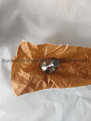 Bagian Sistem Listrik Sinotruk HOWO Mesin Truk katup keluaran knalpot Vg1560050041