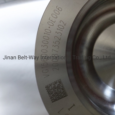 Aman pembayaran Lindungi pembayaran Anda untuk Sinotruk HOWO Truck Parts Vg1560030010 Piston