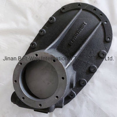 Sinotruk HOWO Truck Parts Truck Spare Parts Bridge Box Cover 990143201124 Standar