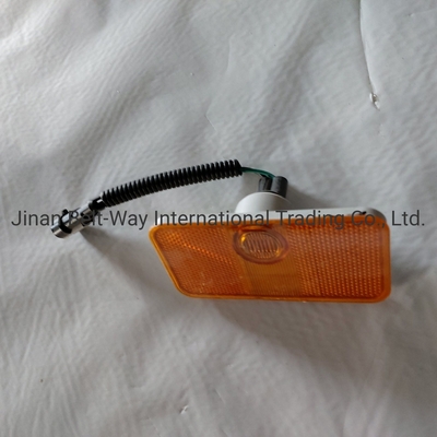 Sinotruk HOWO Truck Parts Side-Marker Lamp Wg9100720012/2 Fungsionalitas yang sangat baik