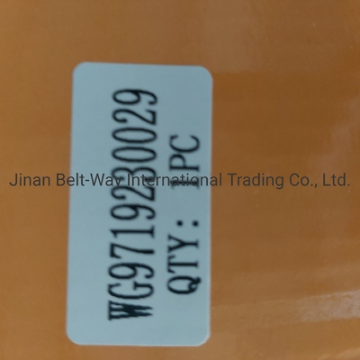 Sinotruk HOWO Truck Parts Clutch Booster Cylinder Wg9719230029 Sempurna untuk truk Anda
