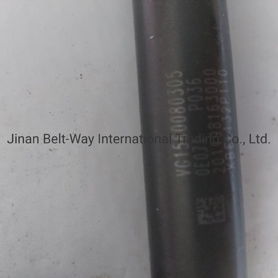 Injektor bahan bakar Vg1560080305 Kontak untuk biaya pengiriman untuk membeli Sinotruk HOWO Truck Parts
