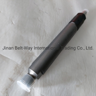 Injektor bahan bakar Vg1560080305 Kontak untuk biaya pengiriman untuk membeli Sinotruk HOWO Truck Parts
