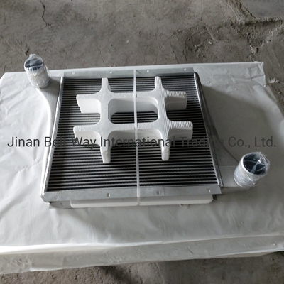 Sinotruk HOWO truk suku cadang supercharged Intercooler Wg97255300250 Wg9725530020