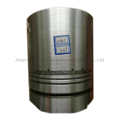 3017349 Piston untuk Mesin Diesel Laut Nt855 Disesuaikan untuk memenuhi kebutuhan spesifik Anda