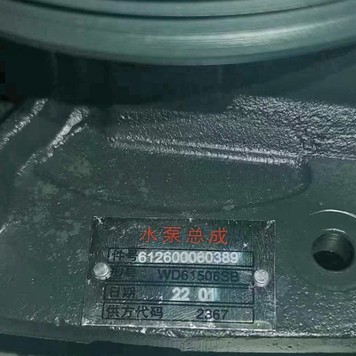 Weichai Power Mesin Diesel Pompa Air 612600060389 dengan setiap pembayaran dilindungi