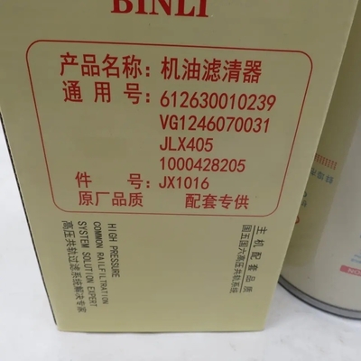 Vg1246070031 Sinotruk HOWO Dump Truck Oil Filter Paket Ukuran 30,00cm * 20,00cm * 2,00cm
